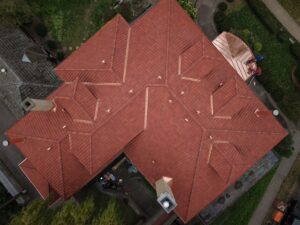 Laculis et viverra vitae