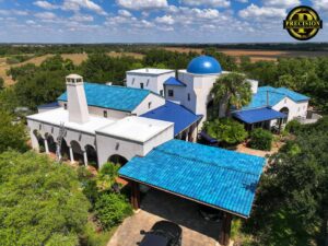 Elementum imperdiet duis